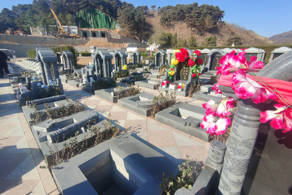 如果我選擇乘坐公交車前往北京清東陵萬(wàn)佛園墓地，有哪些具體的站點(diǎn)可以上車？